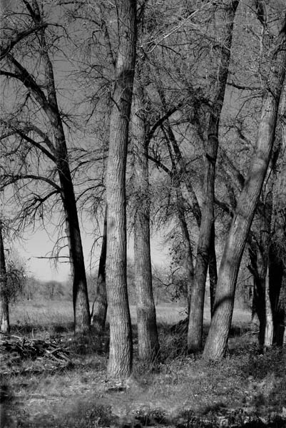 DSCF0010bwnosnownomnts