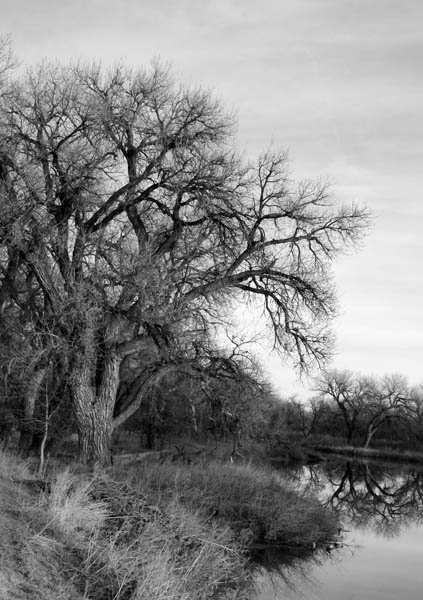 DSCF0021b&w