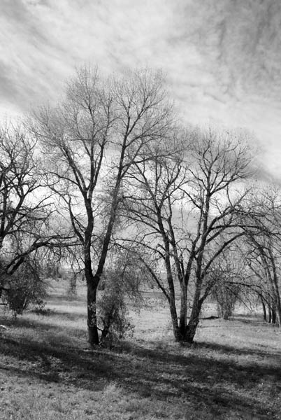 DSCF0028b&w