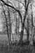 DSCF0022b&w