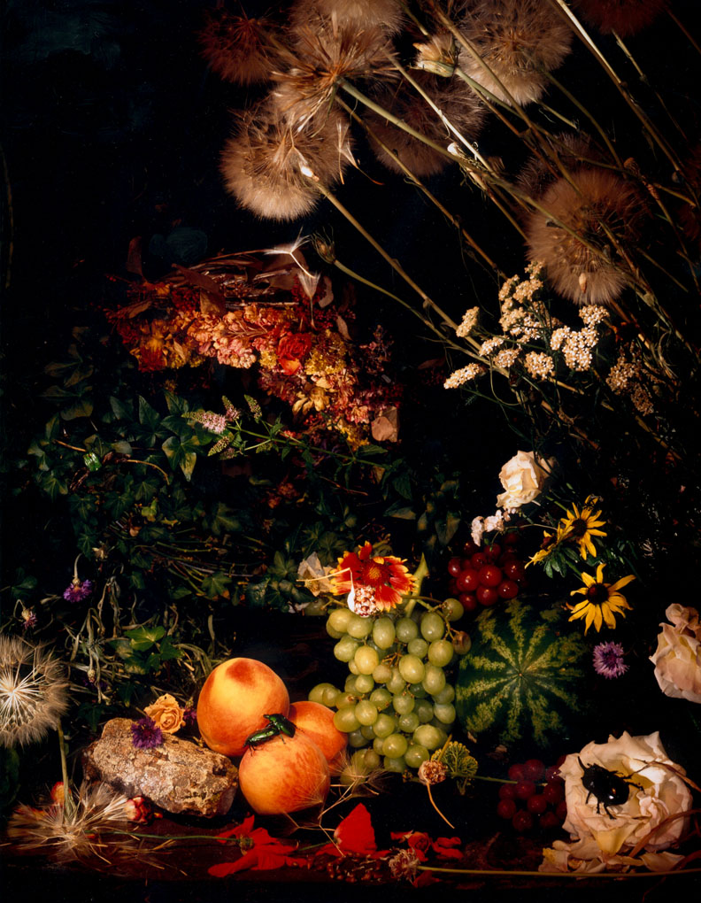 stillife#1