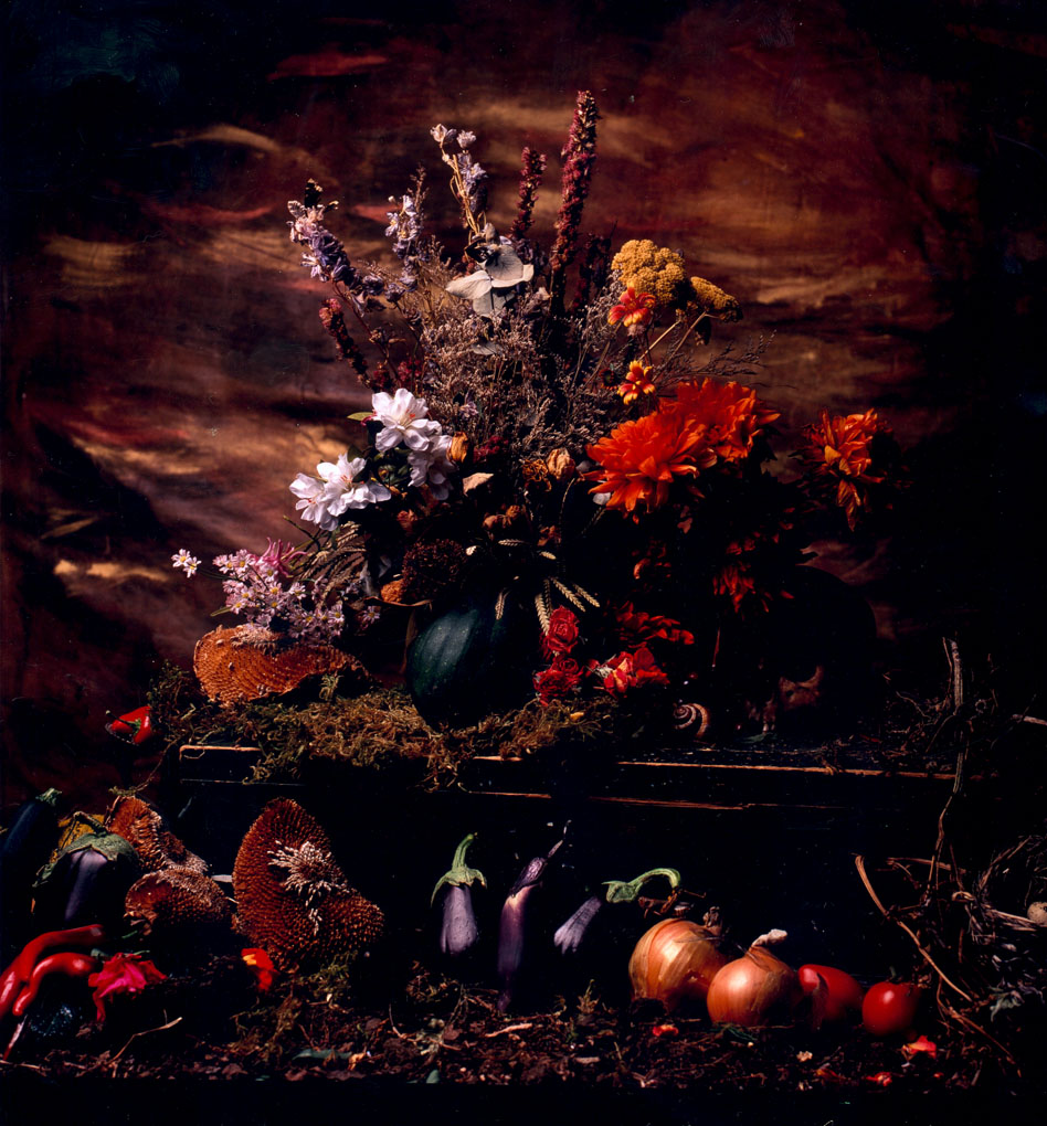 stillife#2