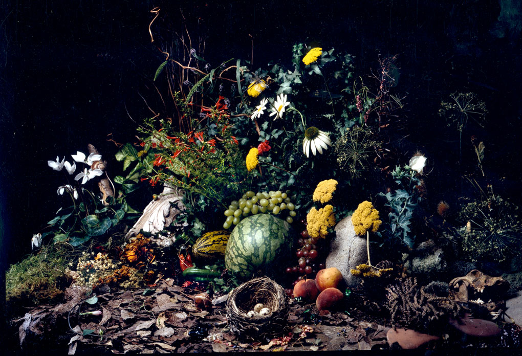 stillife#3