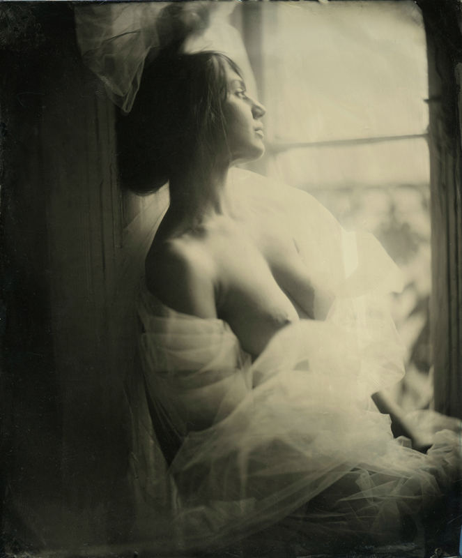 nycwetplates080