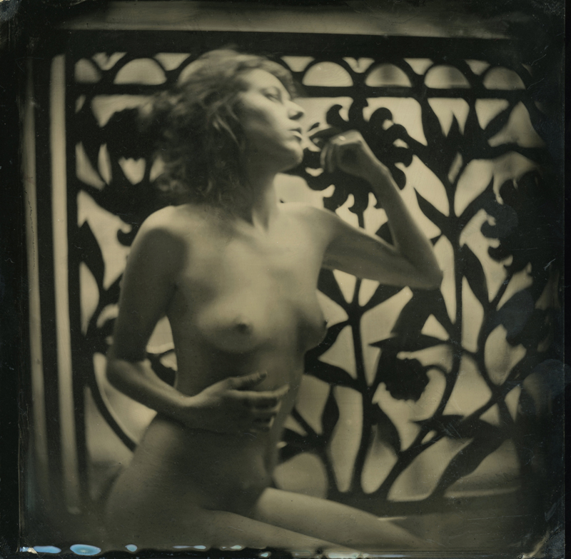 nycwetplates083