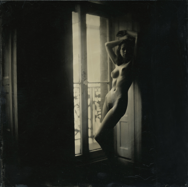 nycwetplates090