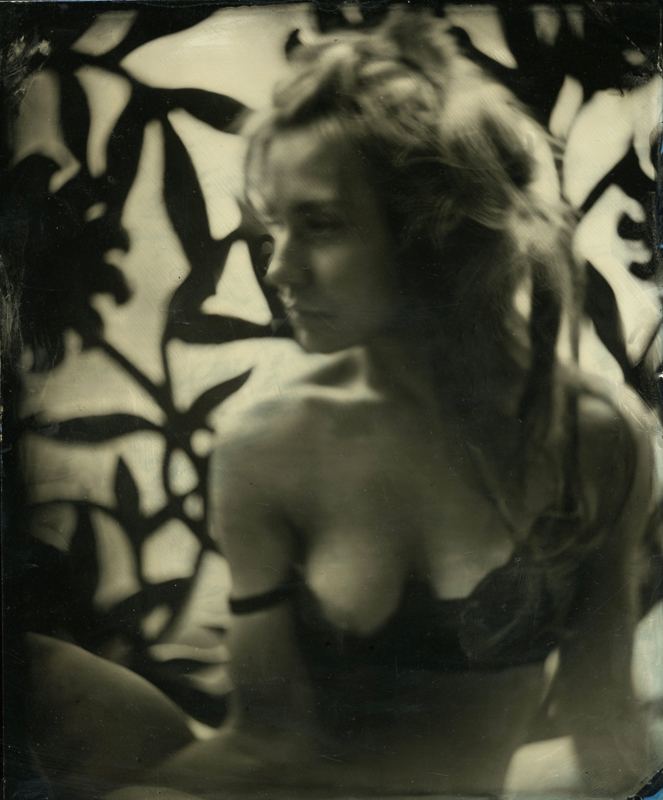 nycwetplates097
