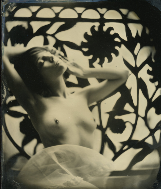 nycwetplates110