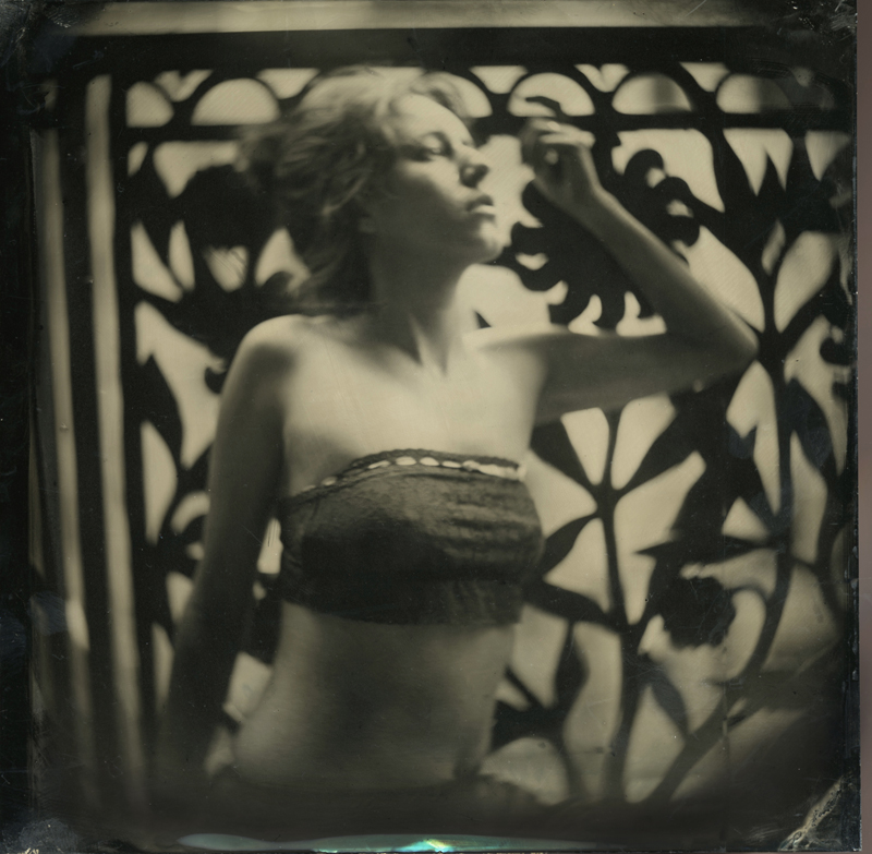 nycwetplates117