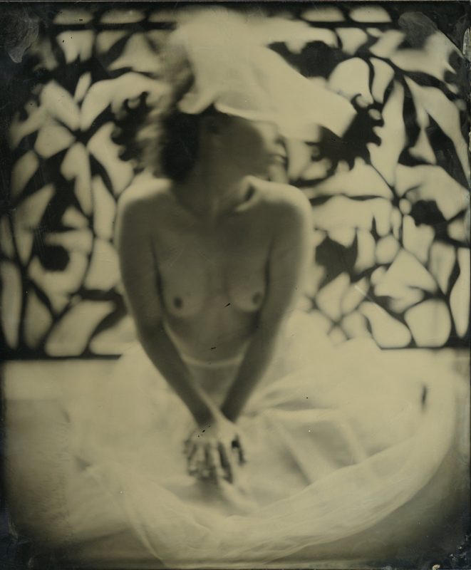 nycwetplates129