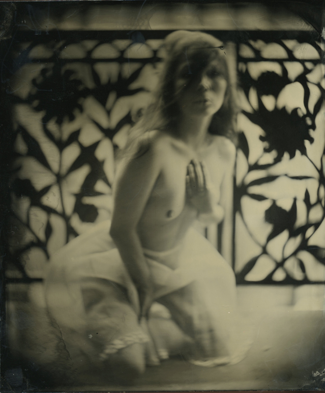 nycwetplates130