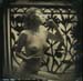 nycwetplates083