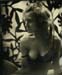 nycwetplates097