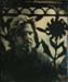 nycwetplates106