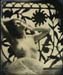 nycwetplates110