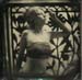 nycwetplates117
