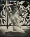 nycwetplates127
