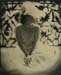 nycwetplates129