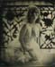 nycwetplates130
