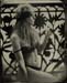 nycwetplates131