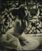 nycwetplates137