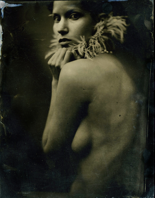 19_Shelby feathers2