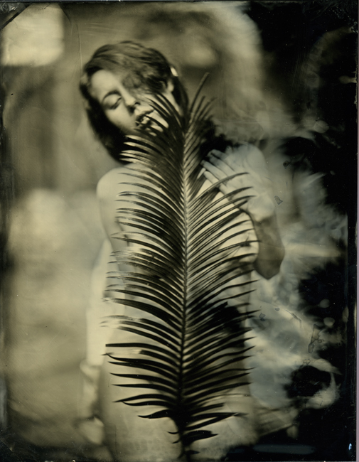 8_kristen_fern_wetpl#5D041F