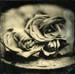 4_roses_b
