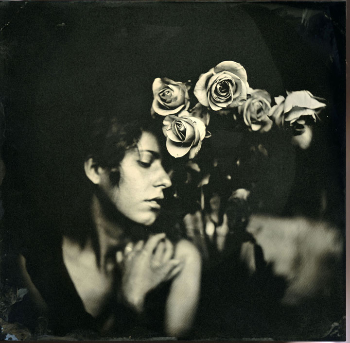 kristen_roses076