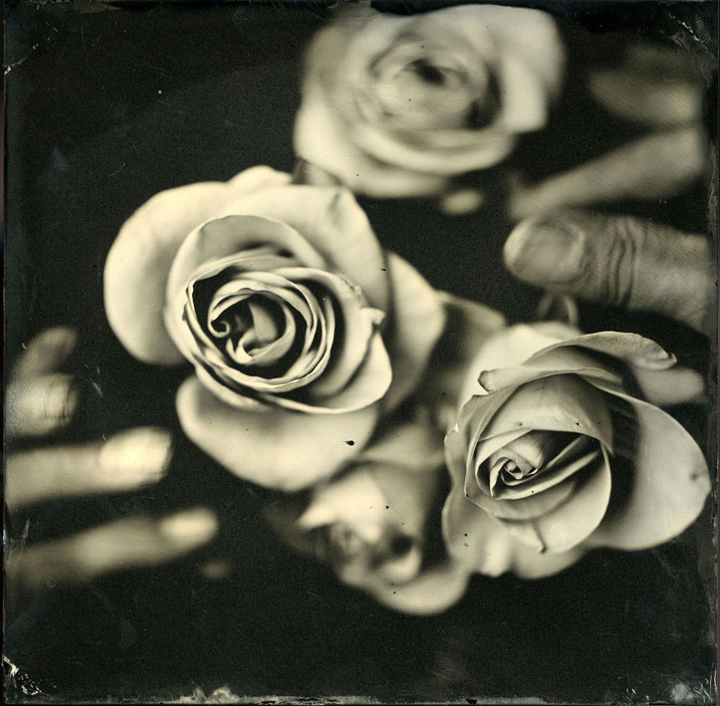 roses070