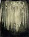 mark_in_aspens276sm