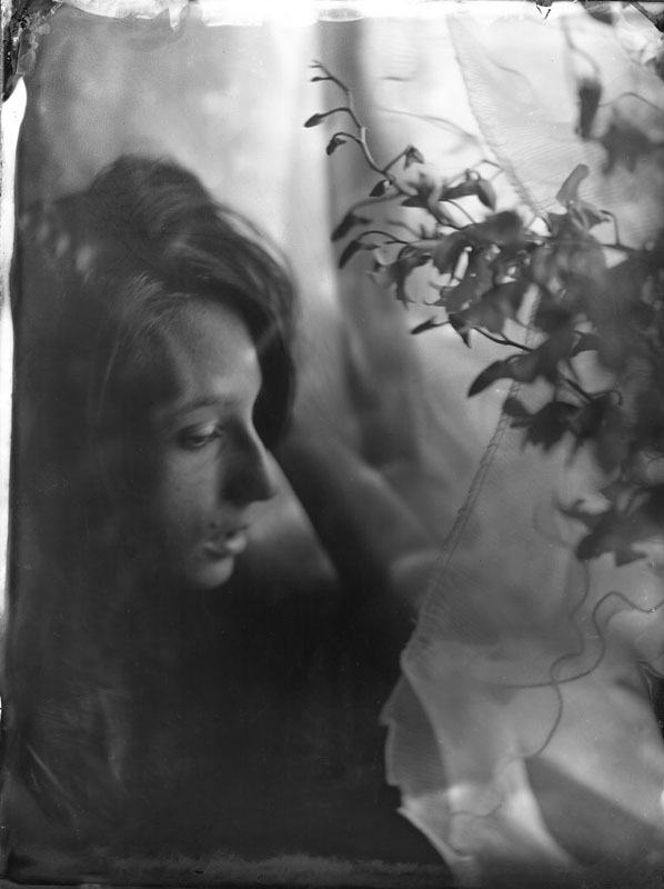kelsie.collodion