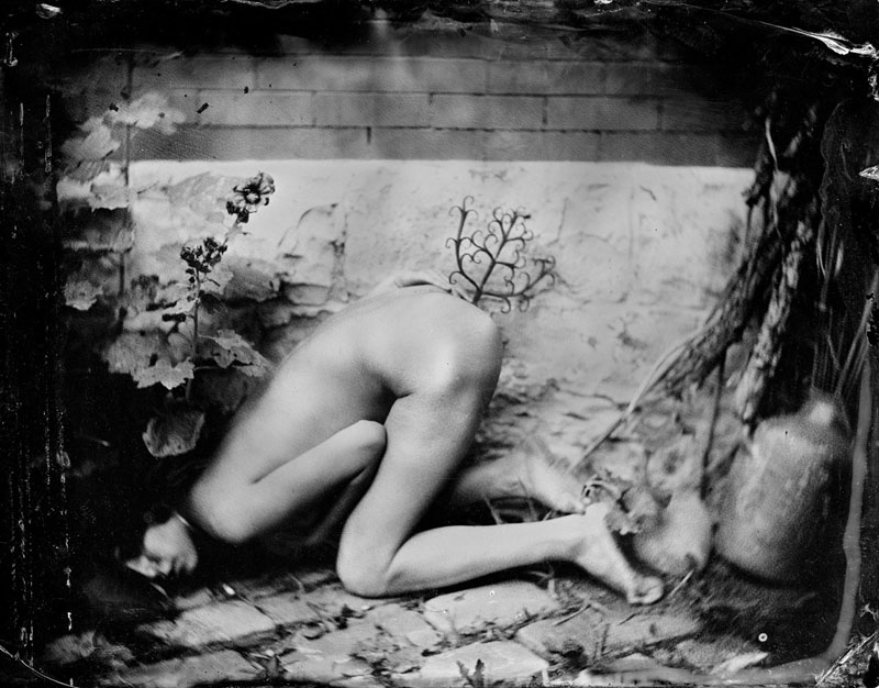 kristen_wetplate